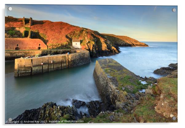 Morning at Porthgain Acrylic by Andrew Ray