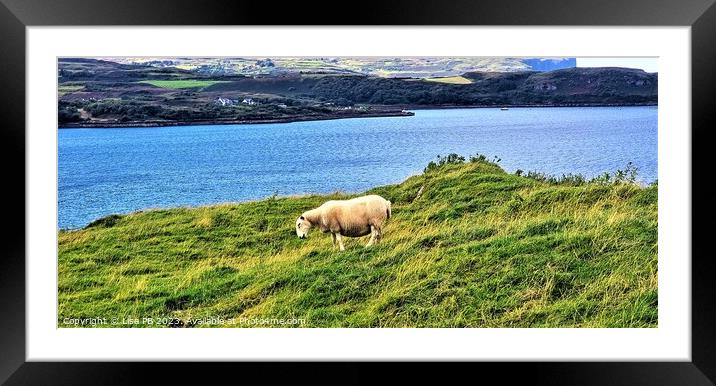 Lonesome Sheep Framed Mounted Print by Lisa PB