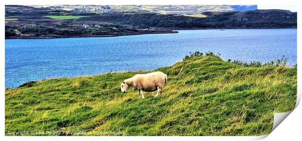 Lonesome Sheep Print by Lisa PB