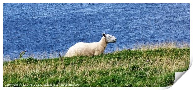 A sheep standing on top of a lush green field Print by Lisa PB