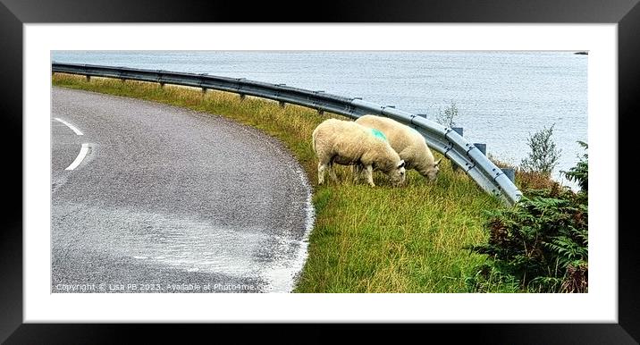 Roadside Sheep Framed Mounted Print by Lisa PB