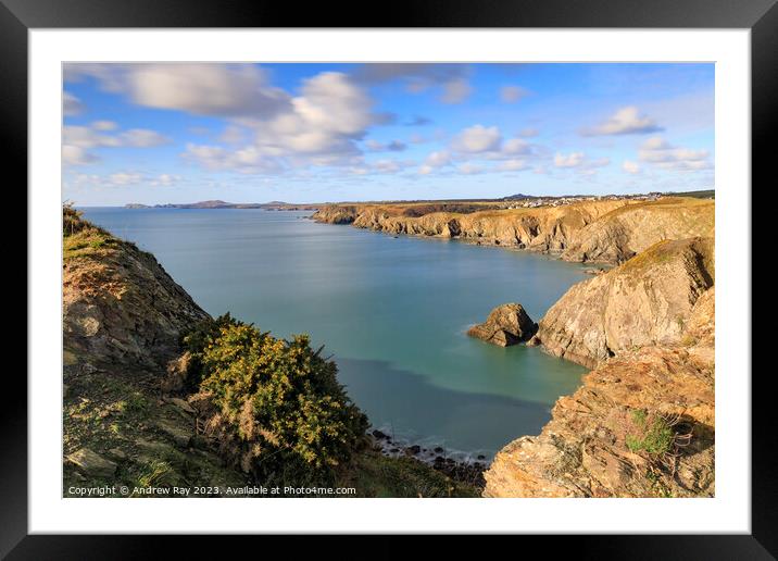Dinas Fawr view (Pembrokeshire) Framed Mounted Print by Andrew Ray