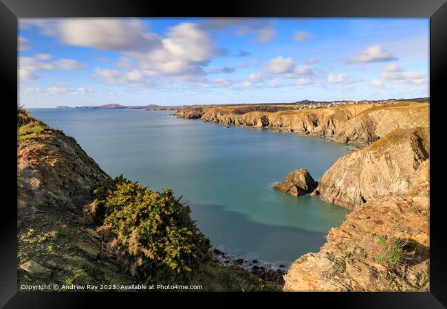 Dinas Fawr view (Pembrokeshire) Framed Print by Andrew Ray