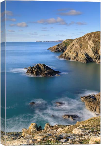 Solva Coastline Canvas Print by Andrew Ray