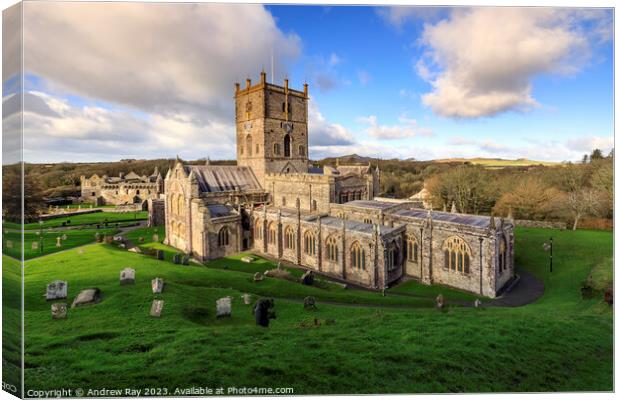 St David's Cathedral  Canvas Print by Andrew Ray