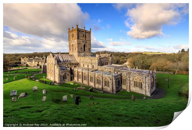 St David's Cathedral  Print by Andrew Ray