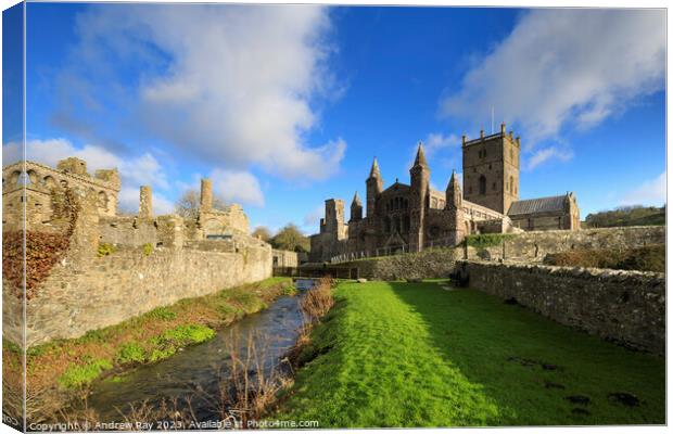 Afternoon at St David's Cathedral  Canvas Print by Andrew Ray
