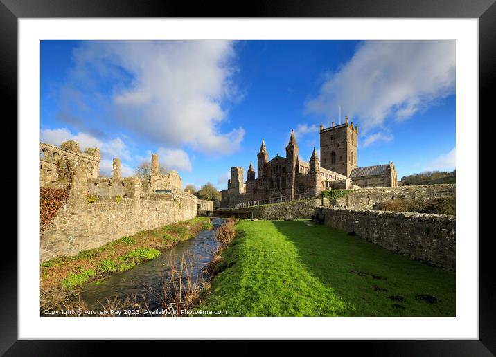 Afternoon at St David's Cathedral  Framed Mounted Print by Andrew Ray