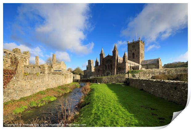Afternoon at St David's Cathedral  Print by Andrew Ray