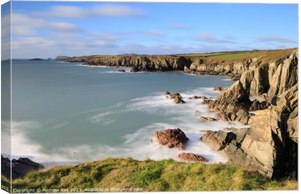 Coastal view (St Non's) Canvas Print by Andrew Ray