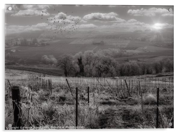 Enchanting Beaujolais Winter Sunset Acrylic by Fabrice Jolivet