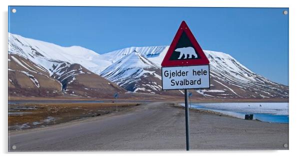 Arctic Svalbard Panorama Landscape Acrylic by Martyn Arnold