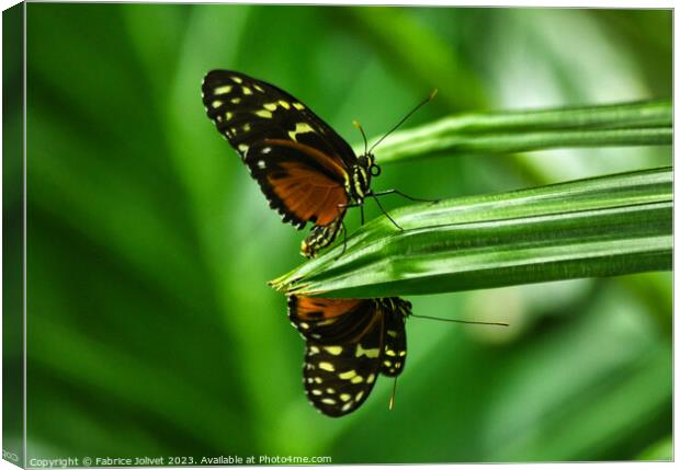 Butterfly The Verdant Dance of Nature Canvas Print by Fabrice Jolivet