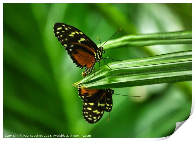 Butterfly The Verdant Dance of Nature Print by Fabrice Jolivet
