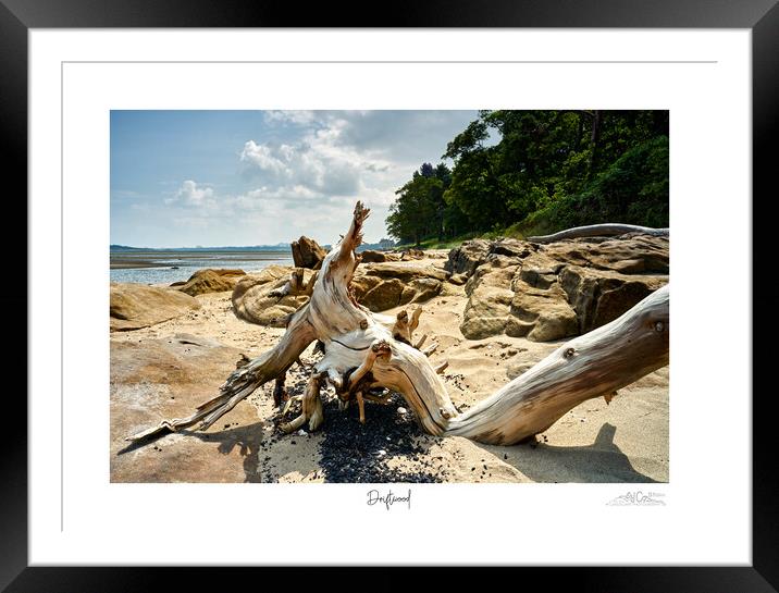 Driftwood on beach in Scotland  Framed Mounted Print by JC studios LRPS ARPS
