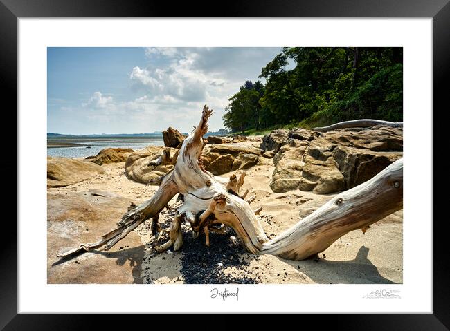 Driftwood on beach in Scotland  Framed Print by JC studios LRPS ARPS