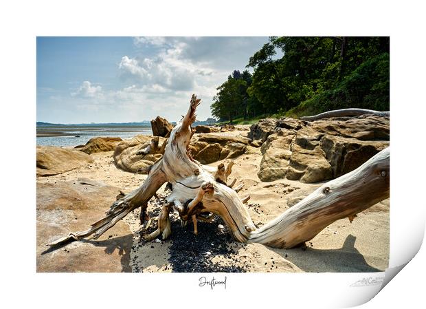 Driftwood on beach in Scotland  Print by JC studios LRPS ARPS