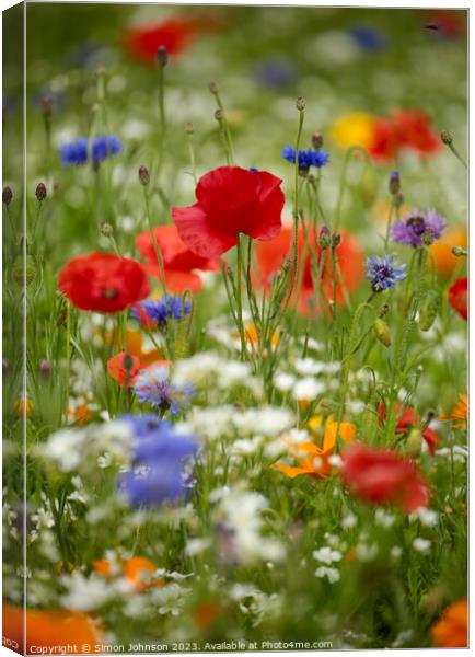 poppyr field with wild flowers Canvas Print by Simon Johnson