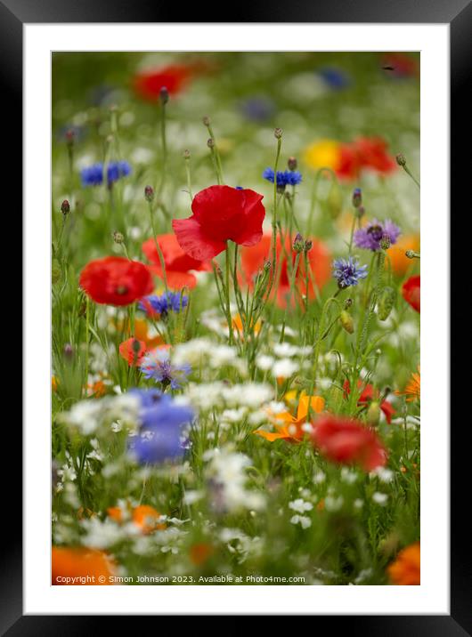 poppyr field with wild flowers Framed Mounted Print by Simon Johnson