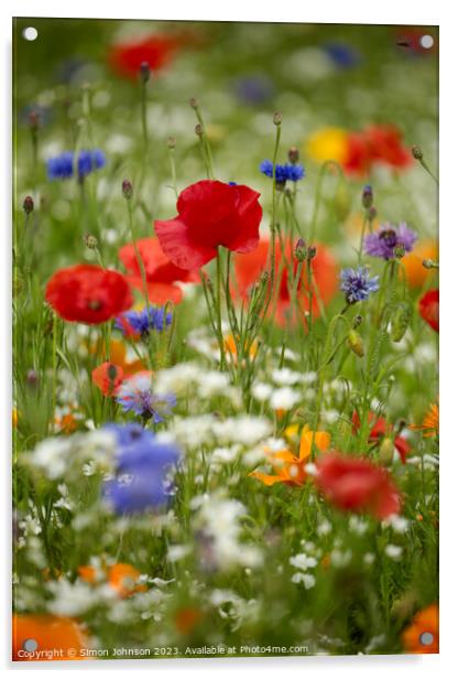 poppyr field with wild flowers Acrylic by Simon Johnson