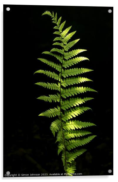 Plant leaves Acrylic by Simon Johnson