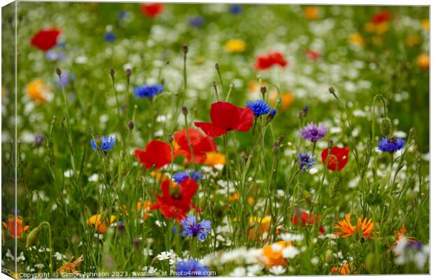 wild flower field Canvas Print by Simon Johnson