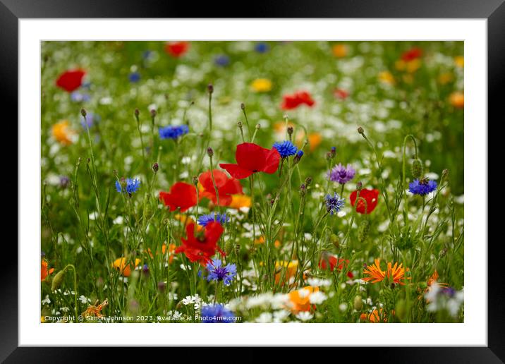 wild flower field Framed Mounted Print by Simon Johnson