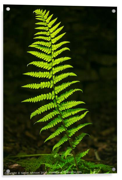 Luminous fern Acrylic by Simon Johnson