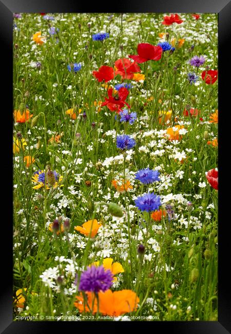 Wild flowers Framed Print by Simon Johnson