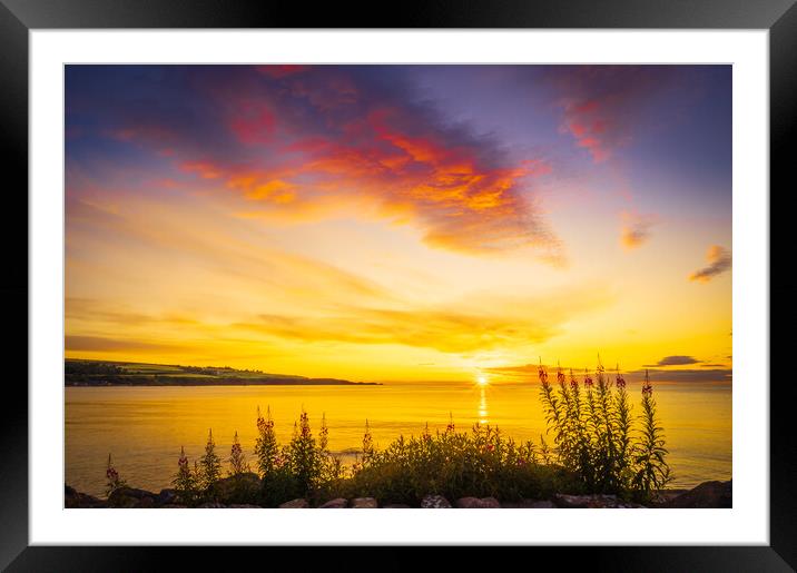  Sunrise over Stonehaven Bay in Scotland Framed Mounted Print by DAVID FRANCIS