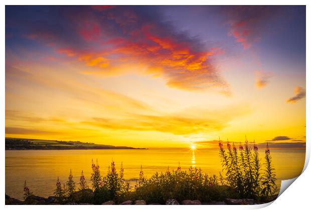  Sunrise over Stonehaven Bay in Scotland Print by DAVID FRANCIS