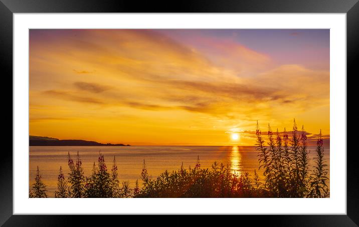 Golden sunrise over Stonehaven Bay in Scotland Framed Mounted Print by DAVID FRANCIS