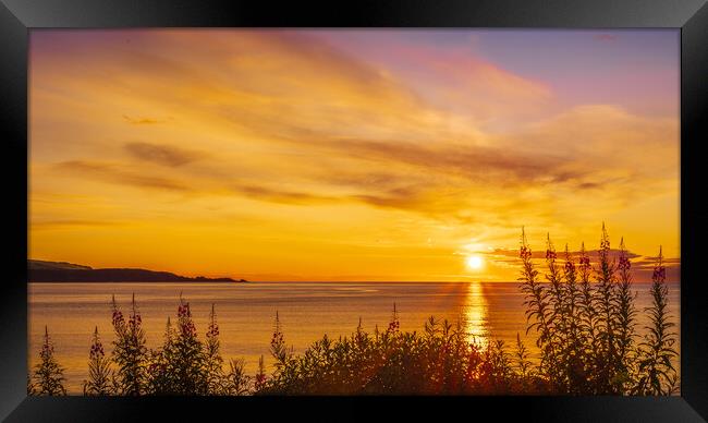 Golden sunrise over Stonehaven Bay in Scotland Framed Print by DAVID FRANCIS