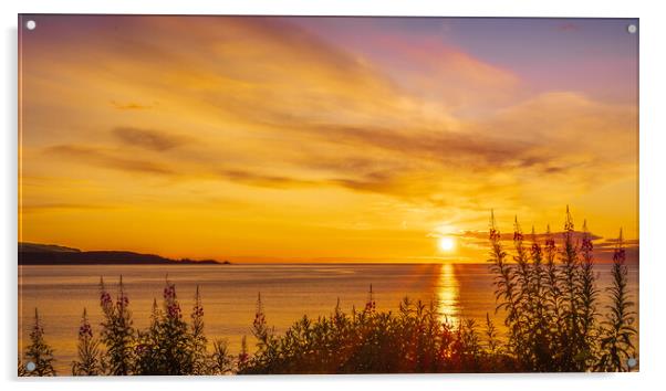 Golden sunrise over Stonehaven Bay in Scotland Acrylic by DAVID FRANCIS