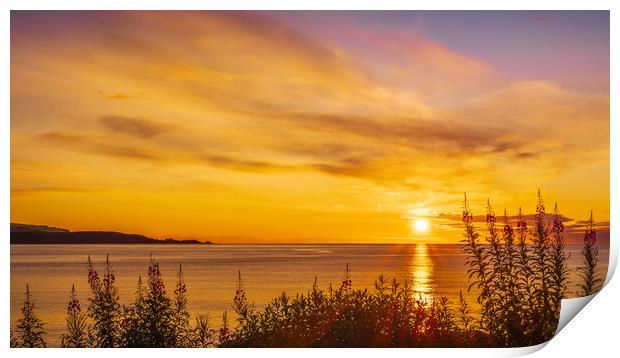 Golden sunrise over Stonehaven Bay in Scotland Print by DAVID FRANCIS