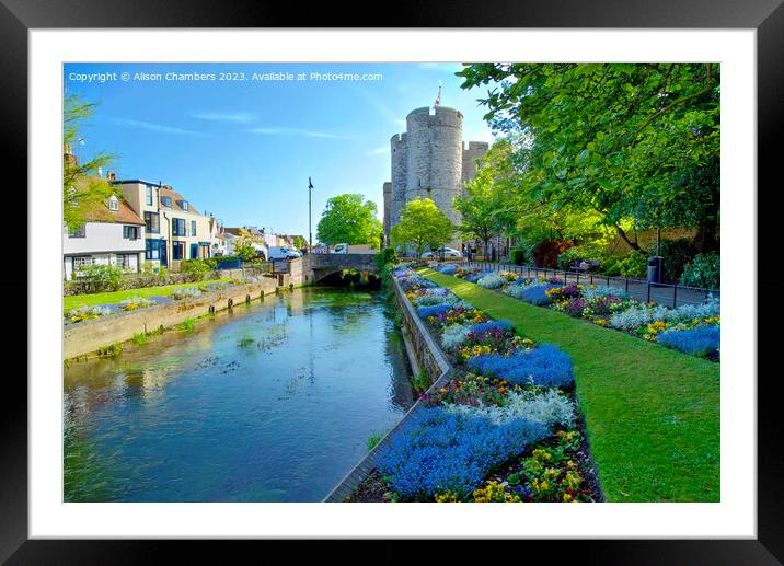 Canterbury River Stour Framed Mounted Print by Alison Chambers