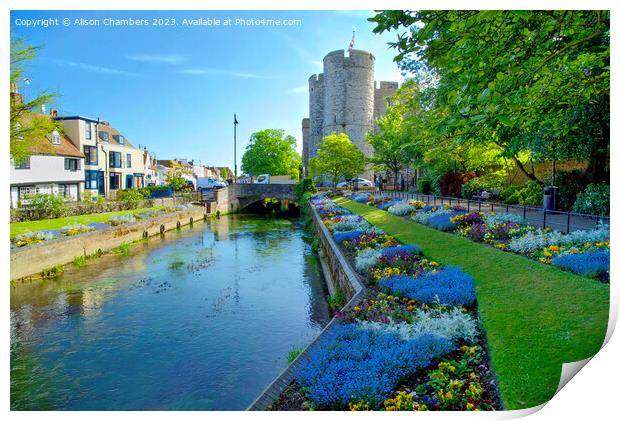 Canterbury River Stour Print by Alison Chambers