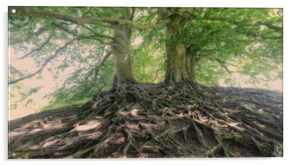 Avebury Beech Trees Acrylic by Mark Godden