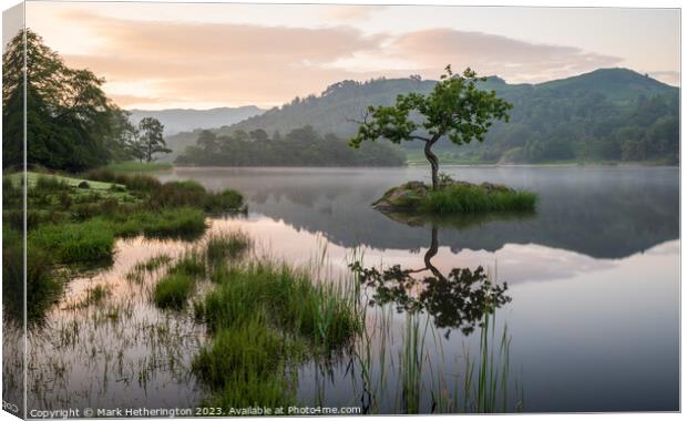 Enchanting Lakeside Solitude Canvas Print by Mark Hetherington