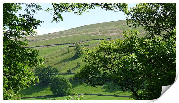 Swaledale, North Yorkshire. UK. Print by Greg Osborne