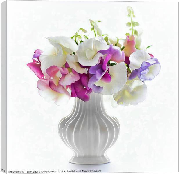 SWEET PEAS IN FLUTED VASE Canvas Print by Tony Sharp LRPS CPAGB