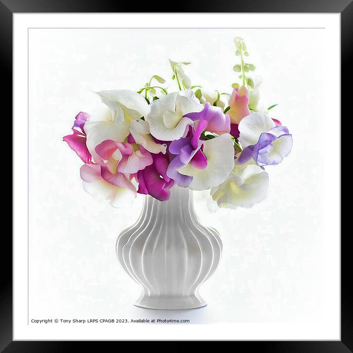 SWEET PEAS IN FLUTED VASE Framed Mounted Print by Tony Sharp LRPS CPAGB