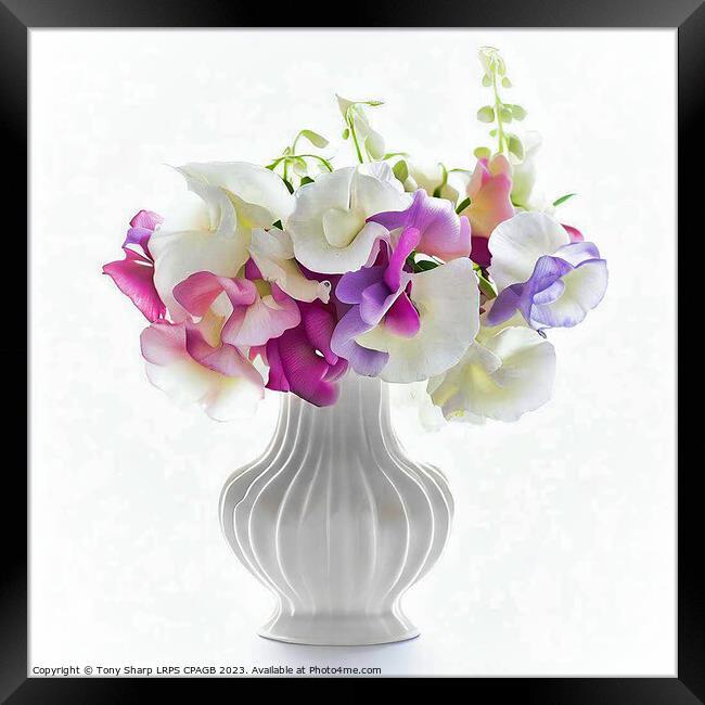 SWEET PEAS IN FLUTED VASE Framed Print by Tony Sharp LRPS CPAGB