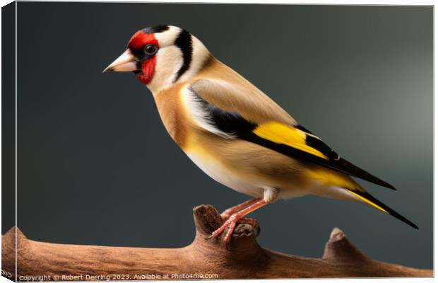 Captivating Goldfinch Perch Canvas Print by Robert Deering