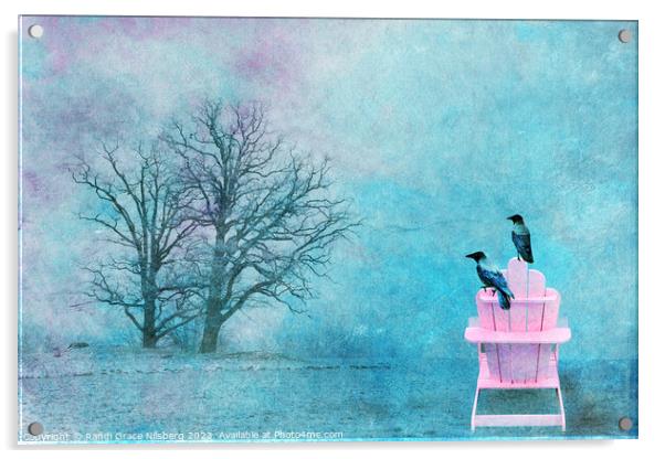 Resting Crows Acrylic by Randi Grace Nilsberg