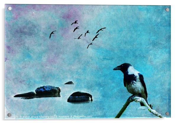 Bird of Wisdom Acrylic by Randi Grace Nilsberg