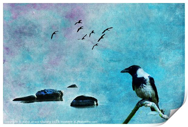 Bird of Wisdom Print by Randi Grace Nilsberg