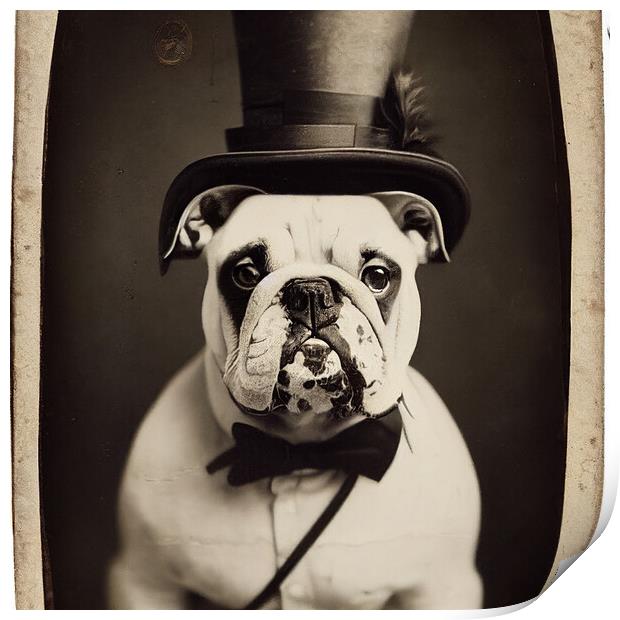 Mr Bulldog Print by Picture Wizard