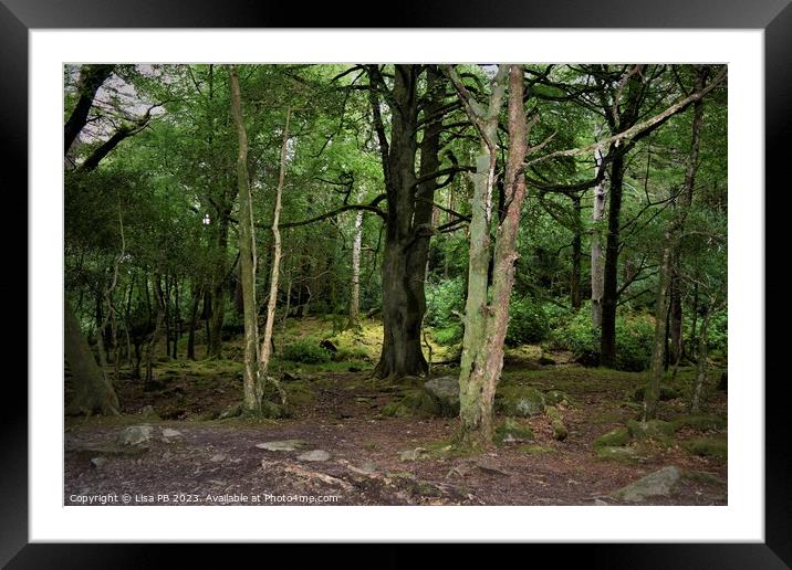 Forest Framed Mounted Print by Lisa PB