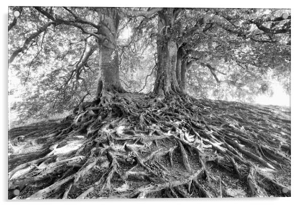Beech Trees.  Acrylic by Mark Godden